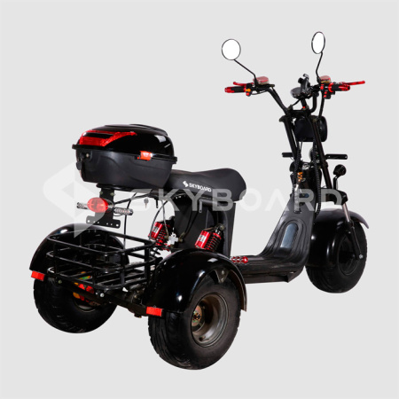 Электроскутер CityCoco SkyBoard Trike BR40-3000 PRO FAST