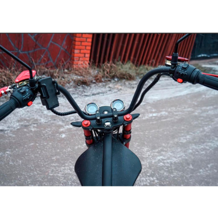 Электроскутер Citycoco WS Wild Wheel+ 3000W