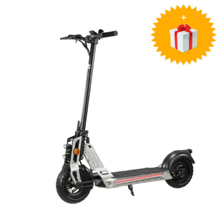 Электросамокат WS-TAIGA 800 W SILVER WINTER