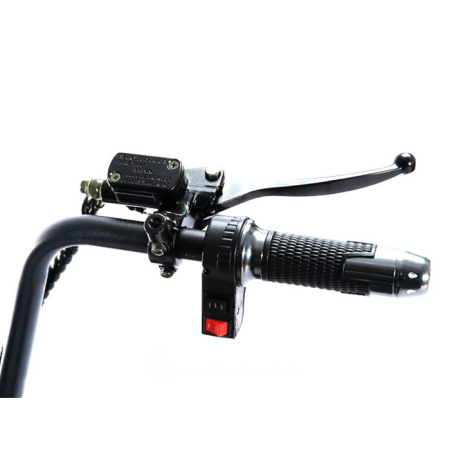 Трехколесный электроскутер Citycoco 2000W